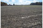 Property photo 32 - 75.3 Acres Offered in 2 Tracts